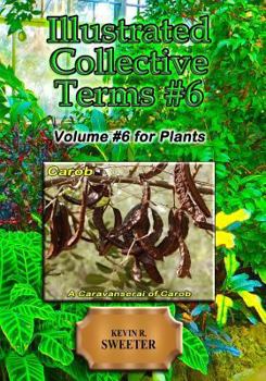 Paperback Illustrated Collective Terms #6: Volume #6 for Plants Book