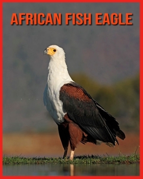 African Fish Eagle: Super Fun Facts And Amazing Pictures