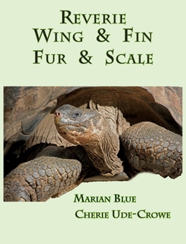 Hardcover Reverie Wing & Fin Fur & Scale Book