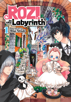 Paperback Rozi in the Labyrinth Vol. 1 Book
