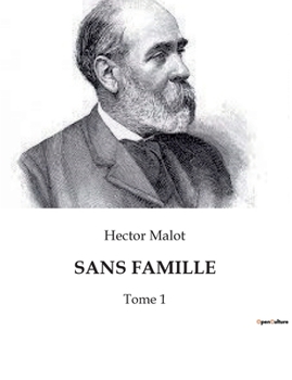 Paperback Sans Famille: Tome 1 [French] Book