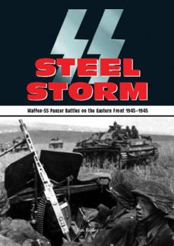 Hardcover Steel Storm: Waffen-SS Panzer Battles on the Eastern Front 1943-1945 Book