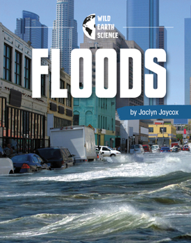 Paperback Floods Book