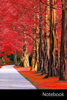 Paperback Notebook: 道路車線、 木、 草、 パーク、 ノ&# Book