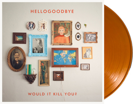 Vinyl Would It Kill You? Book