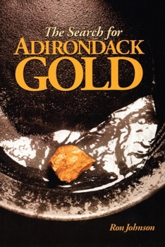 Paperback The Search For Adirondack Gold Book