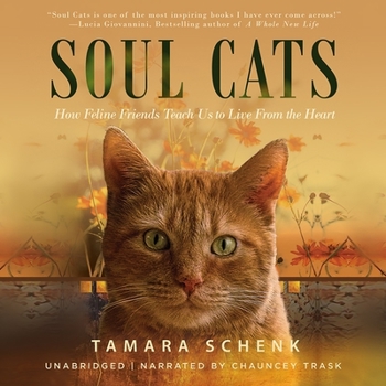 Audio CD Soul Cats: How Our Feline Friends Teach Us to Live from the Heart Book