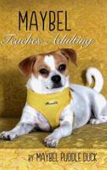 Hardcover Maybel Teaches Adulting Book