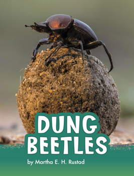 Hardcover Dung Beetles Book