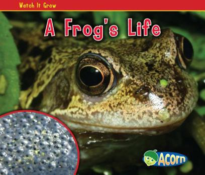 Hardcover A Frog's Life Book