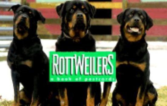 Paperback Rottweilers : A Book of 30 Postcards Book