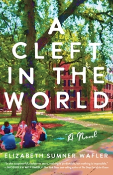 Paperback A Cleft in the World Book