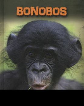 Hardcover Bonobos. Buffy Silverman Book