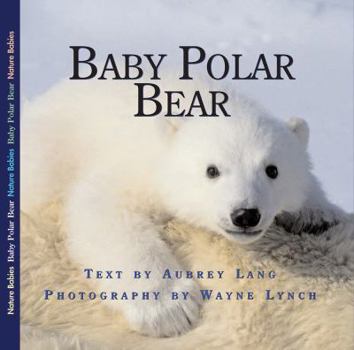 Hardcover Baby Polar Bear (Nature Babies) Book