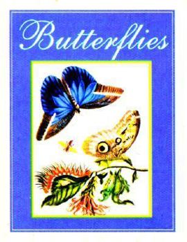 Hardcover Butterflies Book