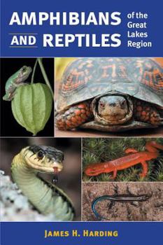 Paperback Amphibians and Reptiles of the Great Lakes Region Book