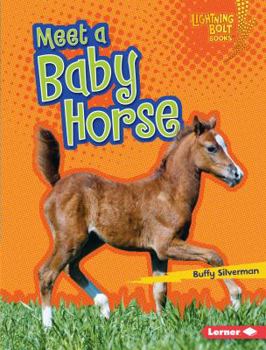 Library Binding Meet a Baby Horse Book
