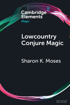Lowcountry Conjure Magic: Historical Archaeology on a Plantation Slave Quarter (Elements in Magic)
