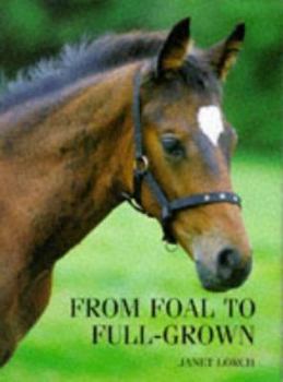 Hardcover From Foal to Full-Grown Book