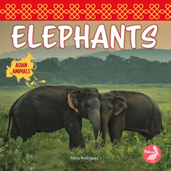 Paperback Elephants Book