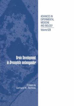 Paperback Brain Development in Drosophila Melanogaster Book