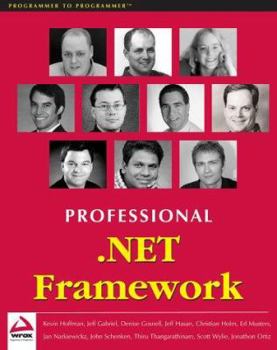 Paperback Professional .Net Framework Book