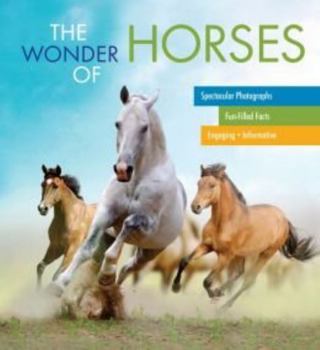 Hardcover The Wonder of Horses Book