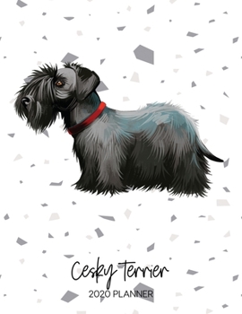 Paperback Cesky Terrier 2020 Planner: Dated Weekly Diary With To Do Notes & Dog Quotes Book