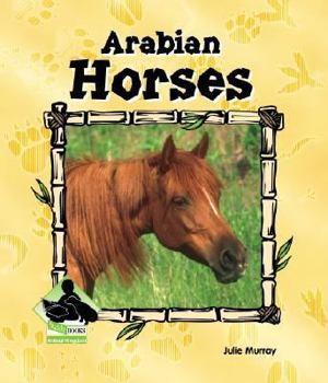 Library Binding Arabian Horses Book