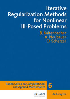 Hardcover Iterative Regularization Methods for Nonlinear Ill-Posed Problems Book