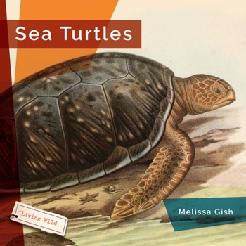 Hardcover Sea Turtles Book
