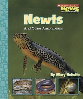 Library Binding Newts and Other Amphibians Book