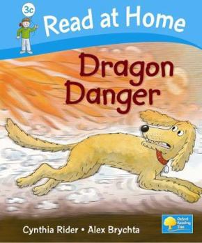 Hardcover Dragon Danger Book