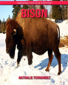 Bison: Amazing Facts & Photos