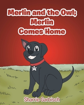 Paperback Merlin and the Owl: Merlin Comes Home Book