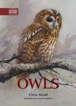 Hardcover Owls Book