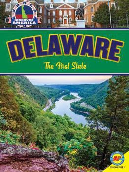 Library Binding Delaware: The First State Book