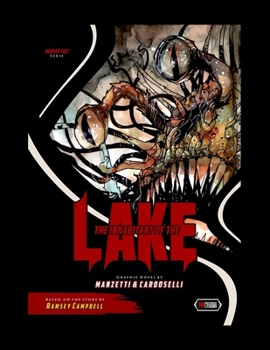 Paperback The Inhabitant of the Lake: Graphic Novel Book