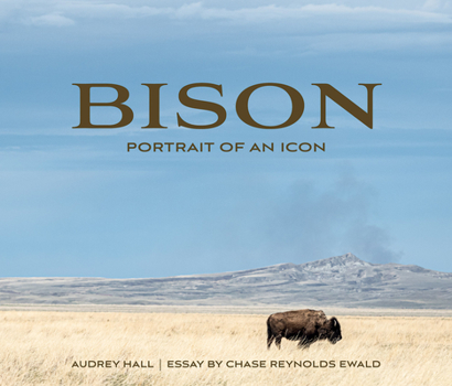 Hardcover Bison: Portrait of an Icon Book