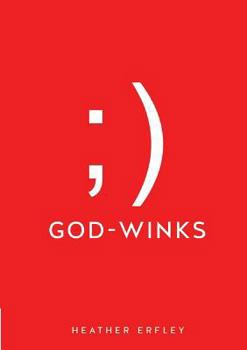 Paperback God-Winks Book
