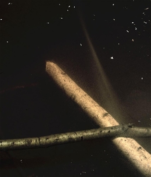 Hardcover Comme Un Murmure / Like a Whisper Book