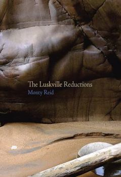 Paperback The Luskville Reductions Book
