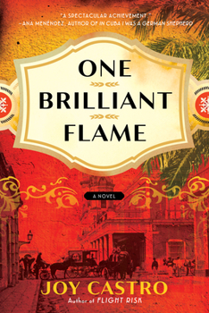 Paperback One Brilliant Flame Book