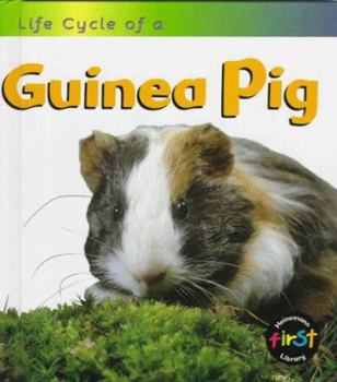 Guinea Pig - Book  of the Life Cycle of a...