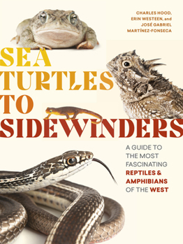 Paperback Sea Turtles to Sidewinders: A Guide to the Most Fascinating Reptiles and Amphibians of the West Book