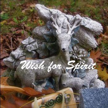 Paperback Wish for Spirit: visual poem Book