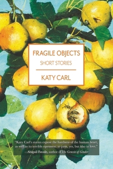 Paperback Fragile Objects Book