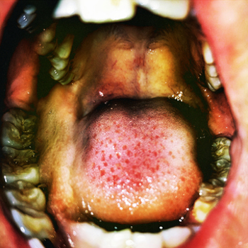 Music - CD Public Storage Book