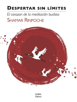 Paperback Despertar Sin Limites: El Corazón de la Meditación Budista [Spanish] Book