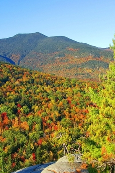 2020 Daily Planner Mountain Ledge Autumn View 388 Pages: 2020 Planners Calendars Organizers Datebooks Appointment Books Agendas